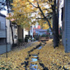 Meet your Posher, Manognya